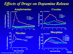 dopamine drugs effects cocaine brain